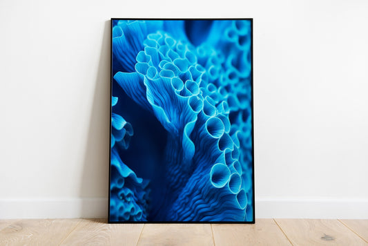 Blue Coral Poster